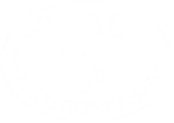TSAU